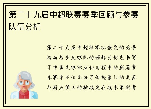 第二十九届中超联赛赛季回顾与参赛队伍分析